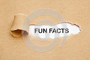 Fun Facts Torn Paper Concept