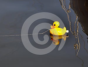 Fun, floating yellow toy rubber duck tethered in harbour