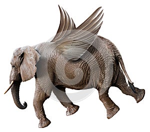Fun Flying Elephant with Wings Isolated
