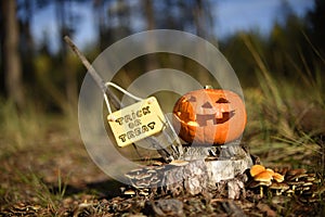 Fun Halloween pumpkin carved head on a stump with orange mushrooms. Sunny fall forest backdrop. Trick or Treat sign