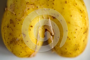 Fun heart shape potato on bright background