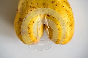 Fun heart shape potato on bright background