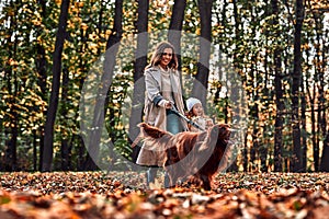 Fun jaunt. Mom and daughter walk in the autumn park with a dog