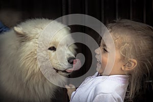 Fun kid child kind puppy dog domestic animal care concept animal love care friendship kindness