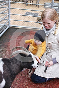 Fun At the Petting Zoo