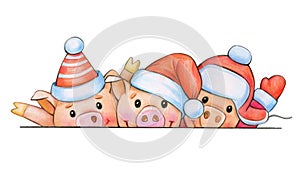 Fun pig cartoons in Christmas hats. photo