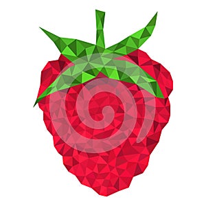 Fun raspberry triangulation style