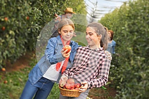 Fun with sister in apple orchard