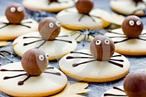 Fun and spooky spider cookies