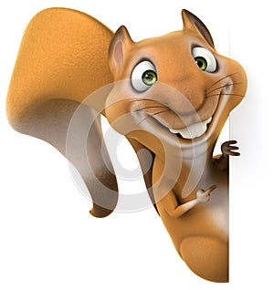 Fun squirrel