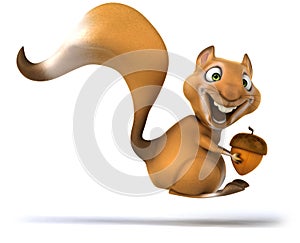 Fun squirrel