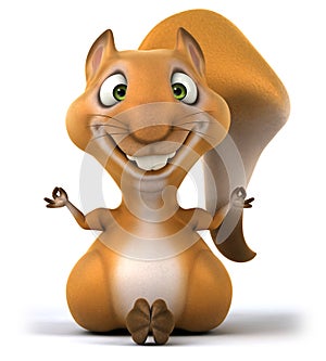 Fun squirrel
