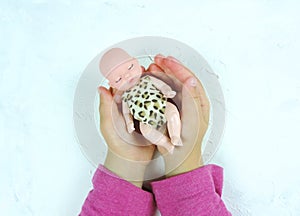 Fun toy for little girls. Beautiful sleeping newborn baby doll in the palms of a child, white raised background