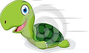 Fun turtle cartoon