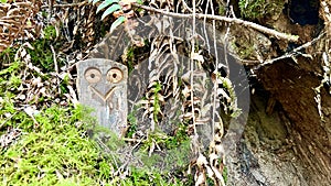 Fun wooden craft hidden in the jungle Smiling owl two eyes There is space for text Englishman river falls park