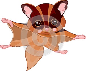 Fun zoo. Flying squirrel