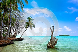 Funadhoo Lake, Maldives