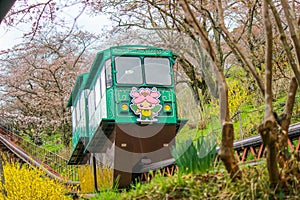 Cherry Blossom Festival at Funaoka Castle Ruin Park,Shibata,Miyagi,Tohoku,Japan on April12,2017:Slope car passing sakura tunnel