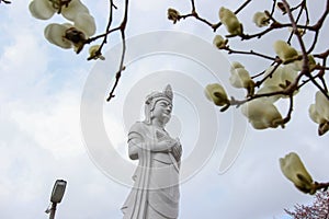 Funaoka Peace Kannon on the mountaintop of Funaoka Castle Ruin Park,Shibata,Tohoku,Japan.