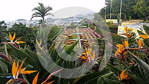 Funchal Botanical Garden, Madeira