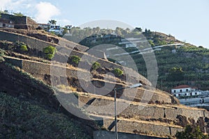 Funchal city terraces