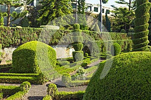 Funchal, Madeira, the Botanical garden of Madeira.