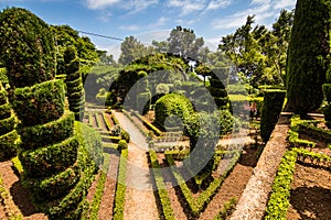 Funchal, Madeira - July, 2018. Decorative green park - Botanical garden Funchal, Madeira