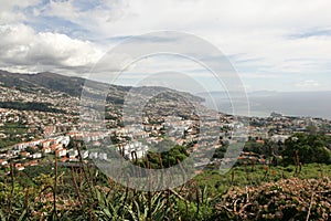 Funchal panorama photo
