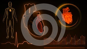 Function of Left Atrium and Left Ventricle of Human Heart