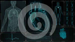 Function of Right Atrium of Human Heart photo