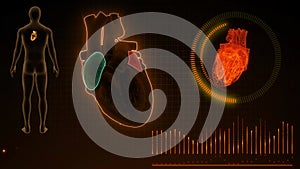 Function of Right Atrium and Left Atrium of Human Heart