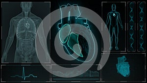 Function of Right Atrium and Right Ventricle of Human Heart