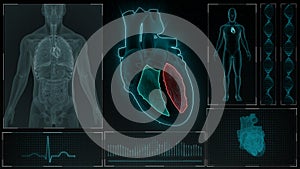 Function of Right Ventricle and Left Ventricle of Human Heart