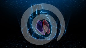 Function of Right Ventricle and Left Ventricle of Human Heart photo