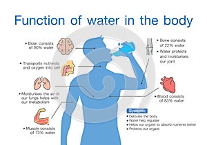 Funciones de Agua en hombre cuerpo 