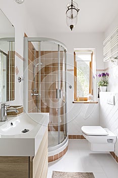 Functional bathroom with toilet and shower photo