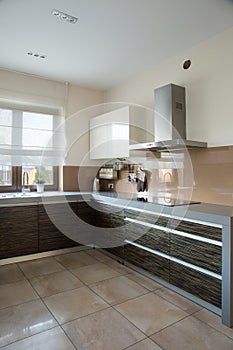 Functional contemporary kitchen