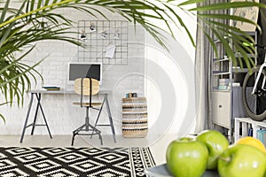 Functional flat with office area