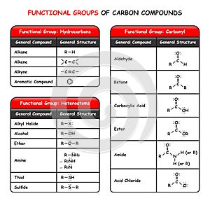 Functional Groups of Carbon Compounds Infographic Diagram photo