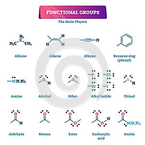 Functional groups vector illustration. Chemical reactions explanation list.