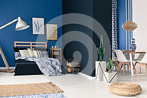 Functional soothing navy apartment