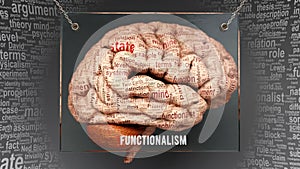 Functionalism in human brain photo