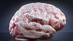 Functionalism and a human brain photo