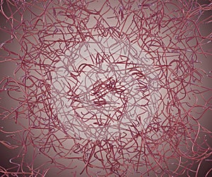 Functionalization of membranes by using copper hydroxide nanostrand