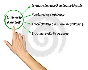 Functions of Business Analyst