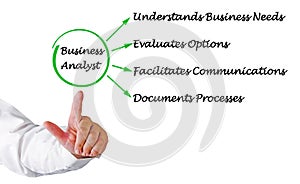 Functions of Business Analyst