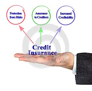 Functions of Credit Insurance
