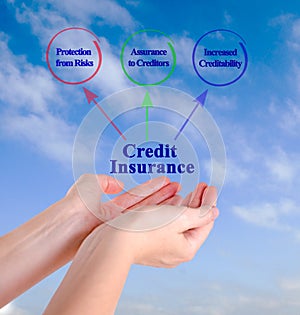 Functions of Credit Insurance