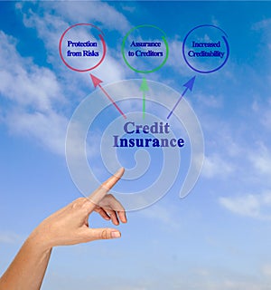 Functions of Credit Insurance