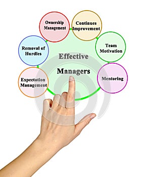 Functions of Effective Managers